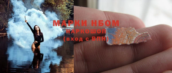 индика Михайлов