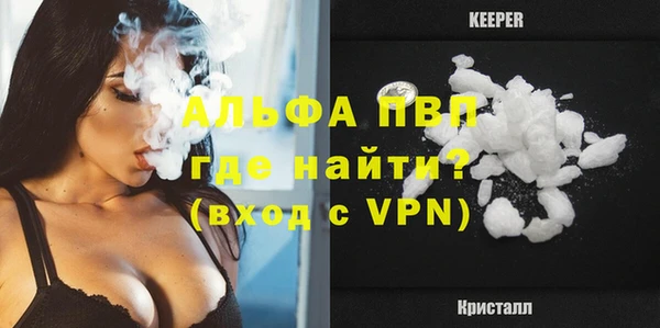индика Михайлов