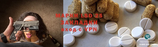 индика Михайлов