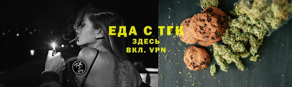 индика Михайлов