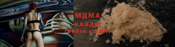 индика Михайлов