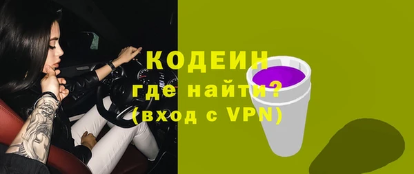 индика Михайлов