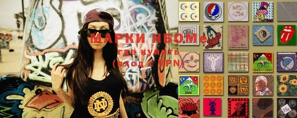 индика Михайлов
