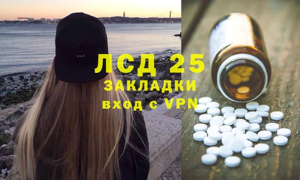 индика Михайлов