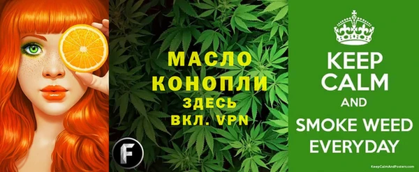 индика Михайлов