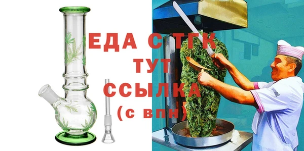 индика Михайлов