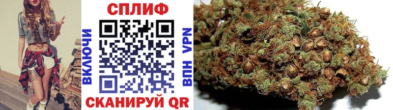 МАРИХУАНА конопля  Купить где  Дрезна 